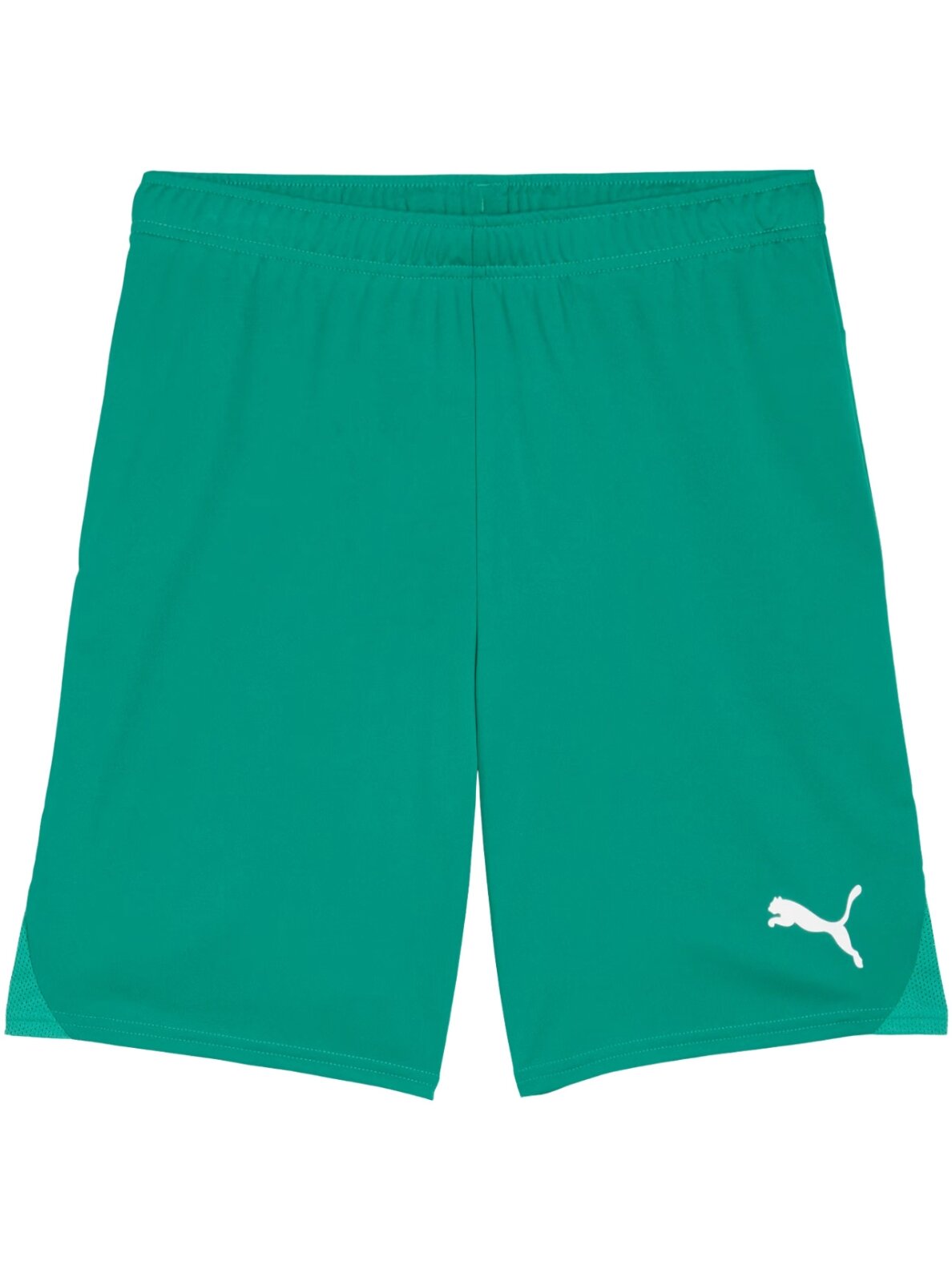 Puma Team Goal vyrams žali šortai 705752 05