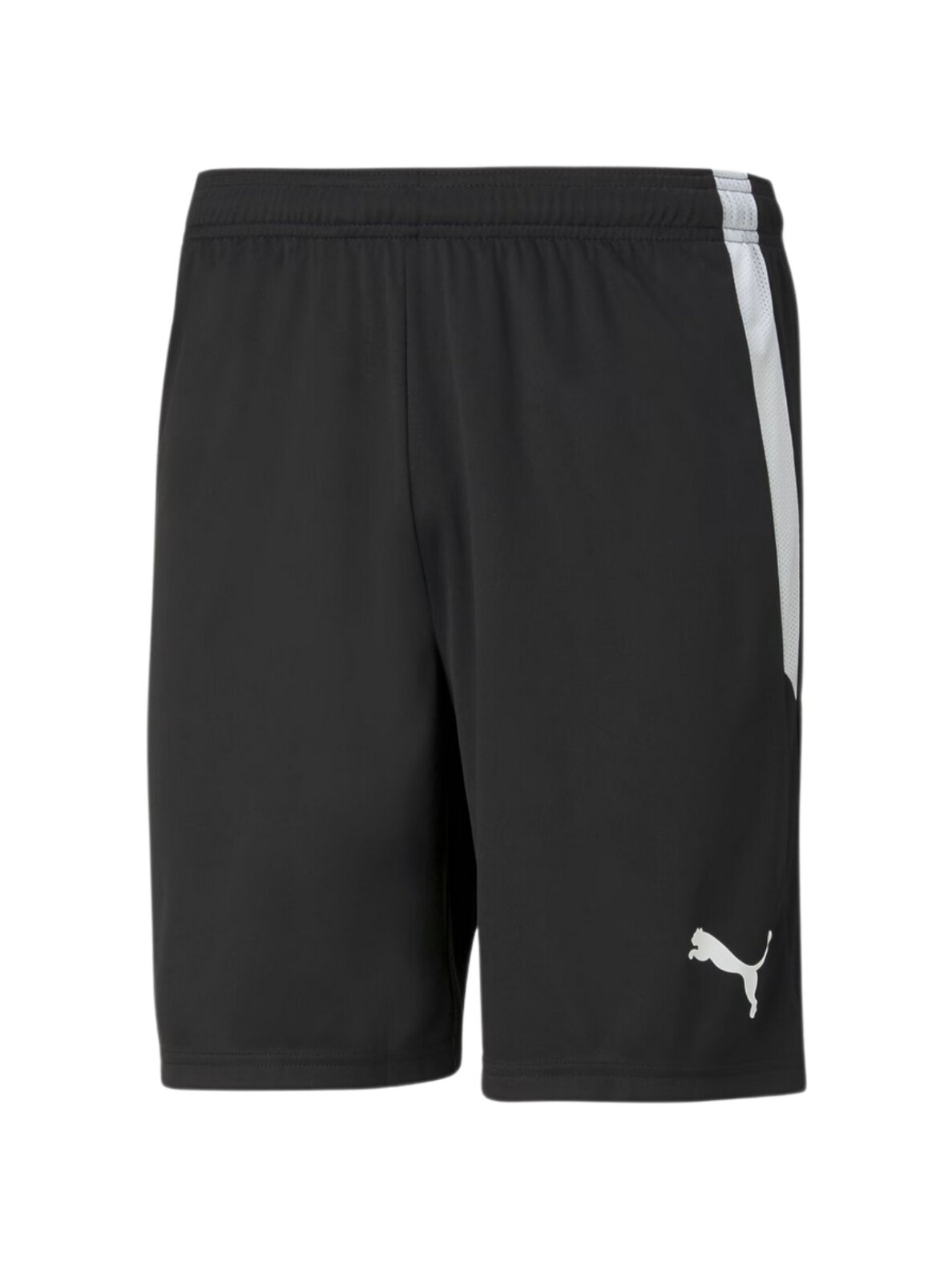 Puma teamLIGA vyriški šortai juodi 704924 03
