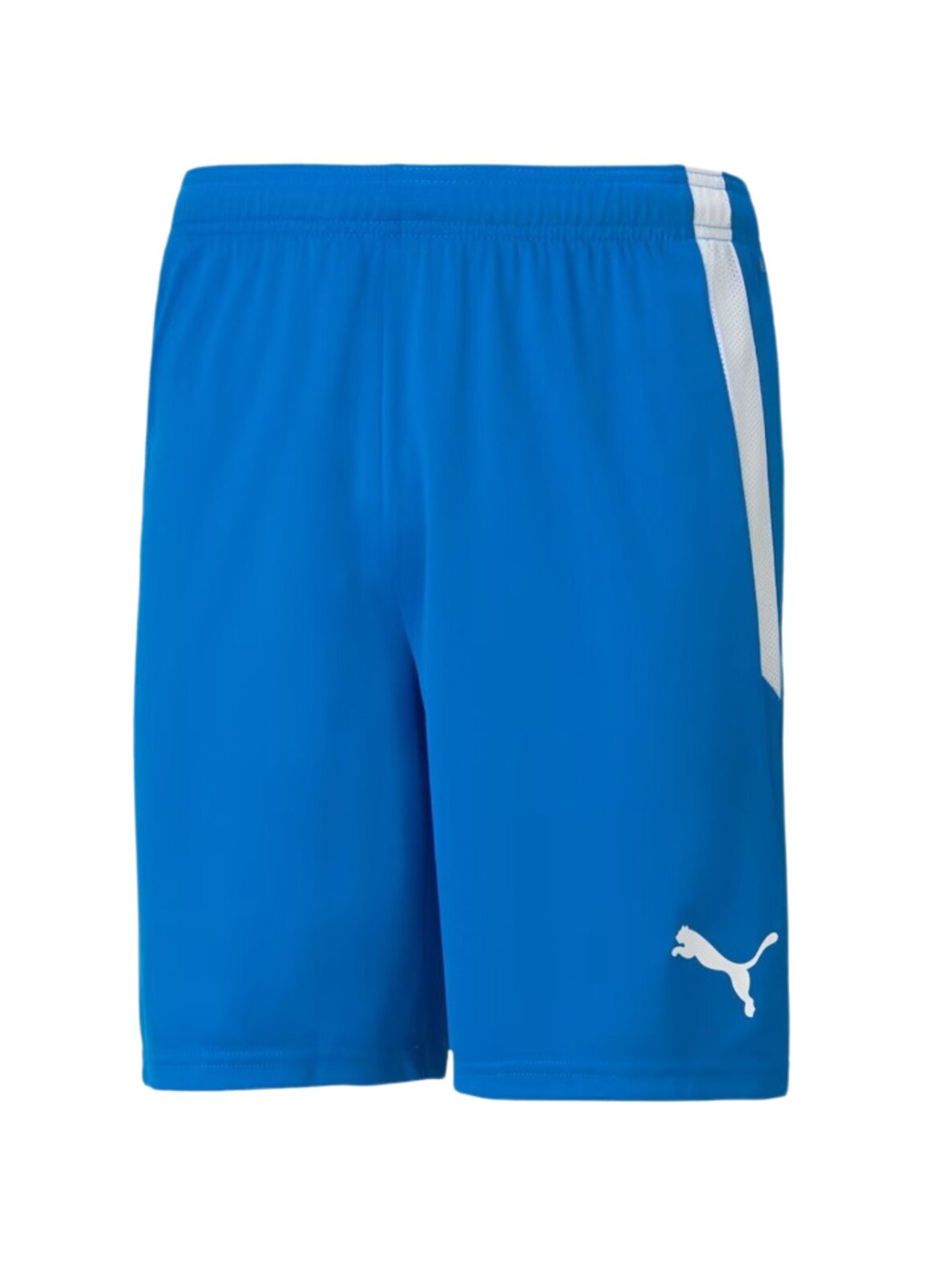 Puma teamLIGA vyriški šortai mėlyni 704924 02