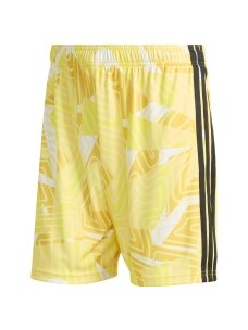 Vyriški šortai adidas Tiro 26 Competition Goalkeeper geltonos KC5347