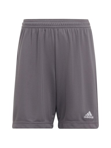 Adidas Entrada 22 vaikiski šortai, pilki H57507