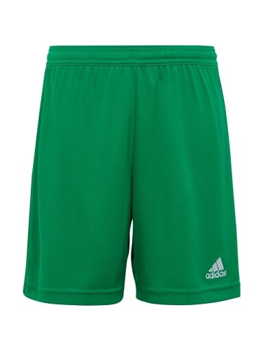 Adidas Entrada 22 vaikiški šortai žali IC7410