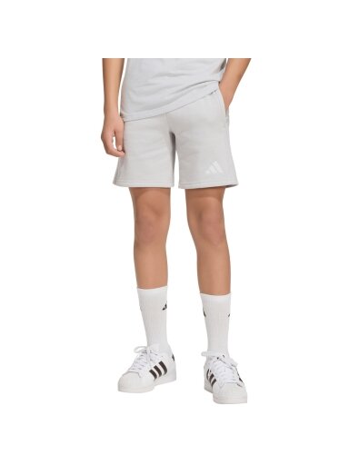 Adidas Entrada 26 Sweat vaikiški šortai, pilki KF5929