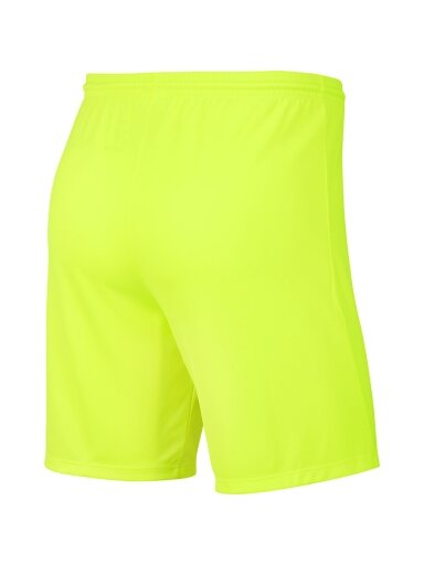 Nike Dry Park III NB K vaikiški šortai lime BV6865 702