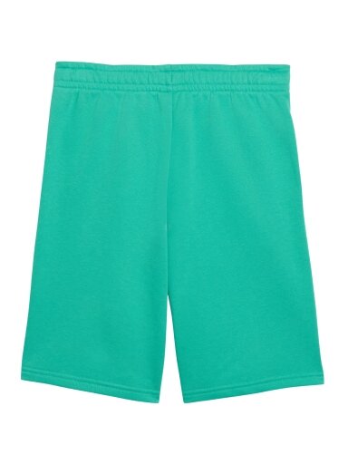 Puma ESS Small No.1 Logo žali šortai vaikams 692974 40
