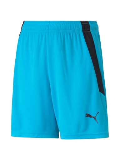 Puma teamLIGA Shorts Jr vaikiški šortai mėlyni 704931 40