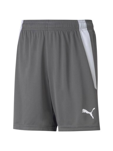 Puma teamLIGA Shorts Jr Rūkyti vaikiški šortai, pilki 704931 13