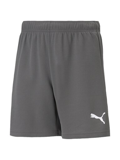 Puma teamRISE Short Jr vaikiški šortai, pilki 704943 13