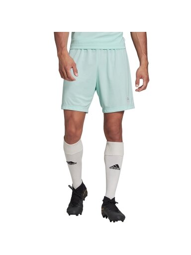 Vyriški šortai adidas Entrada 22 mint HC5051