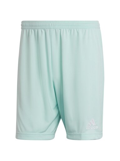 Vyriški šortai adidas Entrada 22 mint HC5051