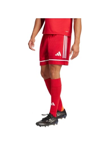 Adidas Squadra 25 trumpikės vyrams raudonos JN5466