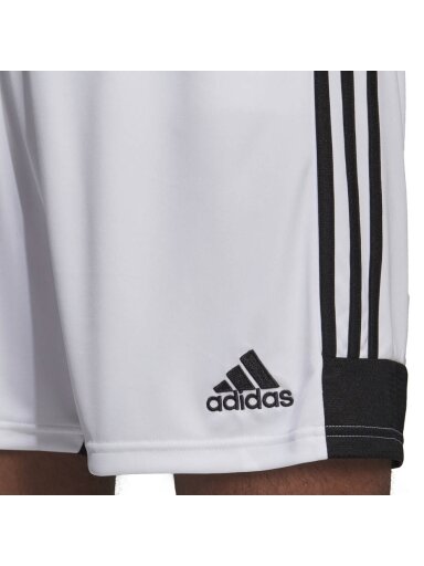 Vyriški šortai adidas Tastigo 19 Šortai balti DP3247