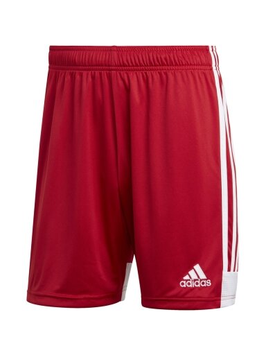 Vyriški šortai adidas Tastigo 19 šortai raudoni DP3681
