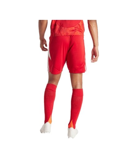 Adidas Tiro 24 vyriški šortai raudoni IR9379