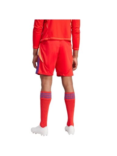 Adidas Tiro 24 vyriški šortai raudoni IT2416