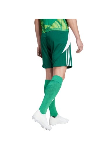 Adidas Tiro 24 vyriški šortai žalios spalvos IS1410