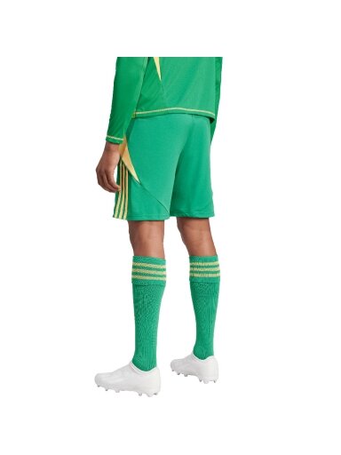 Adidas Tiro 24 vyriški šortai žalios spalvos IT2414