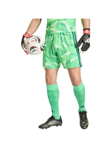 adidas vyriški vartininko šortai Tiro 26 Competition, žali, KC5346
