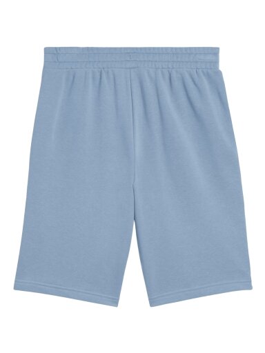 Puma Ess 2 Color No. 1 Logo šortai vyrams mėlyni 684715 34