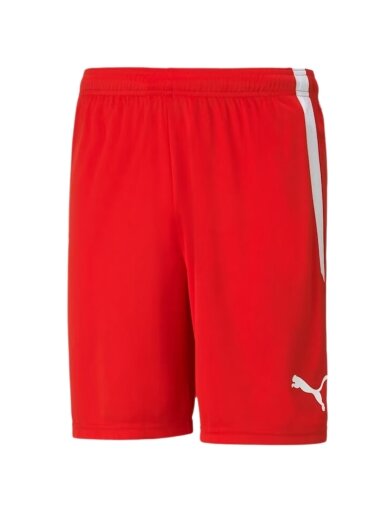 Puma teamLIGA vyriški šortai raudoni 704924 01