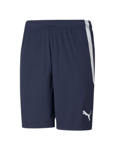 Puma teamLIGA vyriški šortai tamsiai mėlyni 704924 06