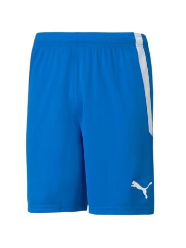 Puma teamLIGA vyriški šortai mėlyni 704924 02