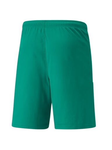 Puma teamLIGA vyriški šortai žali 704924 05