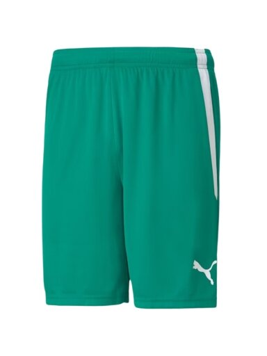 Puma teamLIGA vyriški šortai žali 704924 05