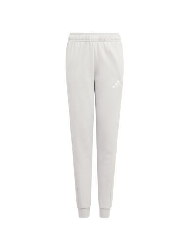 Adidas Entrada 26 Sweat Pants vaikams pilkos kelnės JZ9137