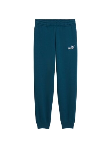 Puma vaikiškos kelnės ESS 2 Color No.1 Logo, turkio spalvos 685824 36
