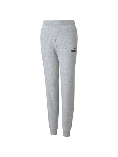 Puma ESS Sweatpants TR vaikiškos kelnės pilkos spalvos 587037 04