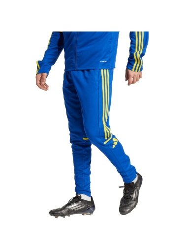 adidas Squadra 25 Training vyrams mėlynai-geltoni kelnės JP3152