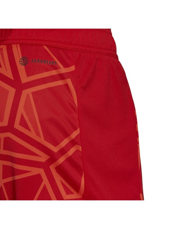 Adidas Condivo 22 vyriški vartininko šortai, raudoni H18814 4