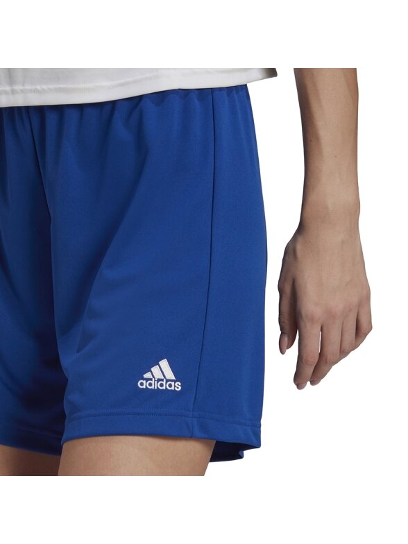 Adidas Entrada 22 moteriški šortai, mėlyni HH9998 3