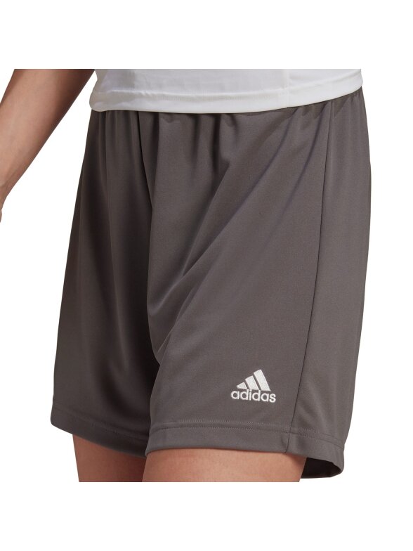 Adidas Entrada 22 moteriški šortai, pilki HH9995 3 Adidas Entrada 22 moteriški šortai, pilki HH9995 3