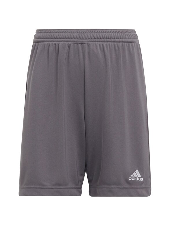Adidas Entrada 22 vaikiski šortai, pilki H57507