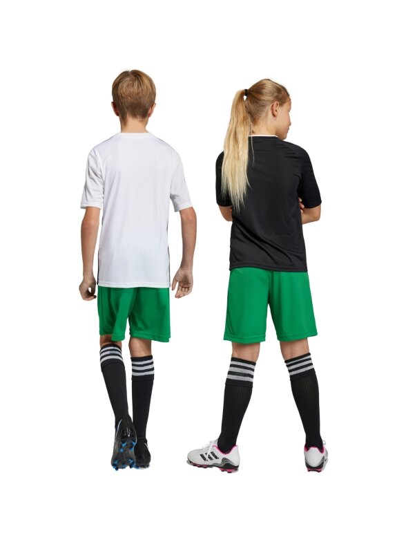 Adidas Entrada 22 vaikiški šortai žali IC7410 3 Adidas Entrada 22 vaikiški šortai žali IC7410 3