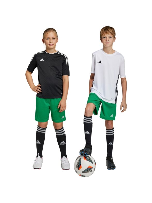 Adidas Entrada 22 vaikiški šortai žali IC7410 Adidas Entrada 22 vaikiški šortai žali IC7410