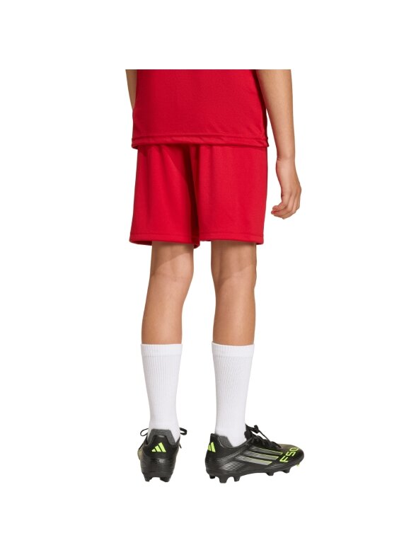 Adidas Entrada 26 vaikiski šortai raudoni JZ6528 3