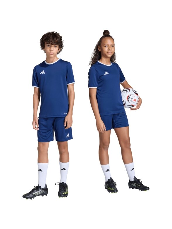 Adidas Entrada 26 vaikams tamsiai mėlyni šortai JZ6532 6