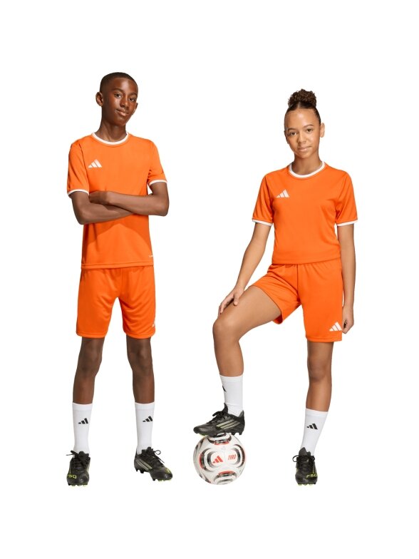 Adidas Entrada 26 šortai vaikams oranžiniai JZ6529 6