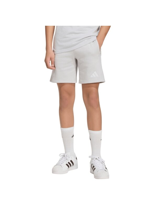 Adidas Entrada 26 Sweat vaikiški šortai, pilki KF5929 Adidas Entrada 26 Sweat vaikiški šortai, pilki KF5929