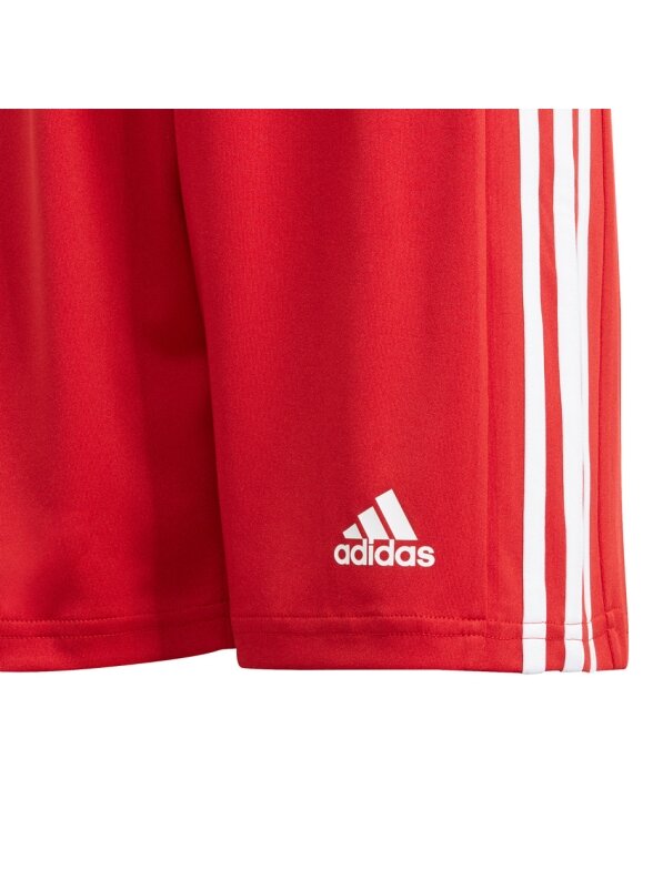 Adidas Squadra 21 Short Youth vaikiški šortai, raudoni GN5761 3