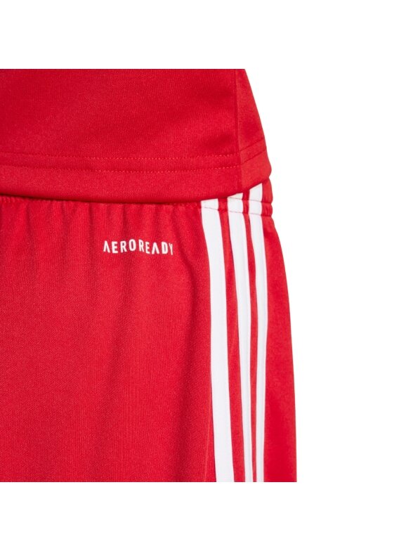 Adidas Squadra 25 vaikiski šortai raudoni JJ2416 4