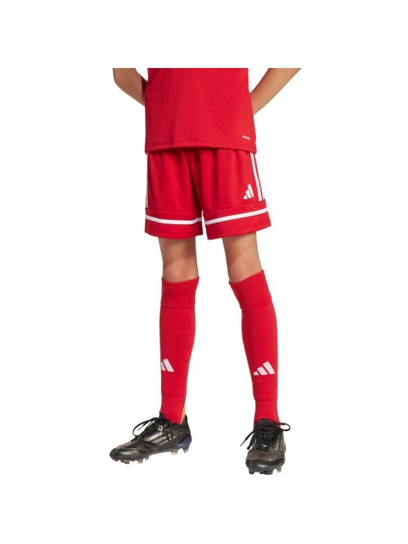 Adidas Squadra 25 šortai vaikams raudoni JN5456 3 Adidas Squadra 25 šortai vaikams raudoni JN5456 3