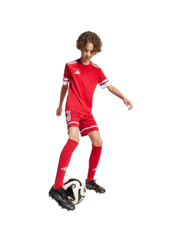Adidas Squadra 25 šortai vaikams raudoni JN5456 7 Adidas Squadra 25 šortai vaikams raudoni JN5456 7
