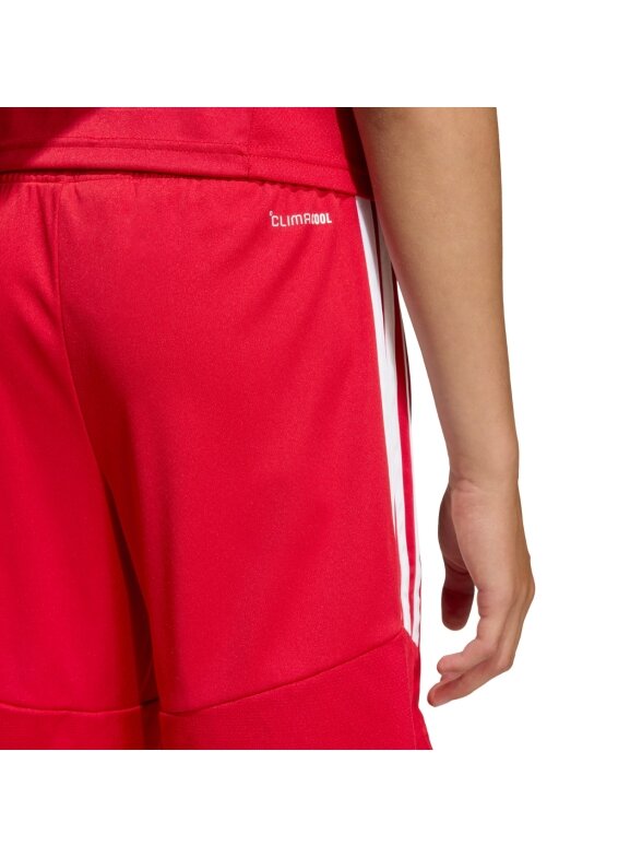Adidas Tiro 26 League vaikiški šortai raudoni KA8817 4