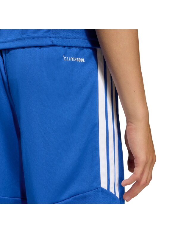 Adidas Tiro 26 League vaikiški šortai, mėlyni KA8816 4