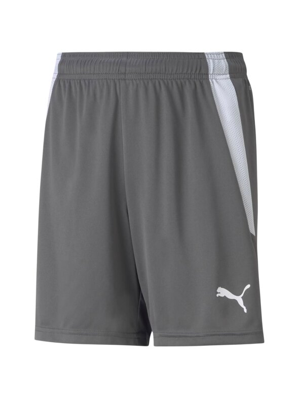 Puma teamLIGA Shorts Jr Rūkyti vaikiški šortai, pilki 704931 13 Puma teamLIGA Shorts Jr Rūkyti vaikiški šortai, pilki 704931 13