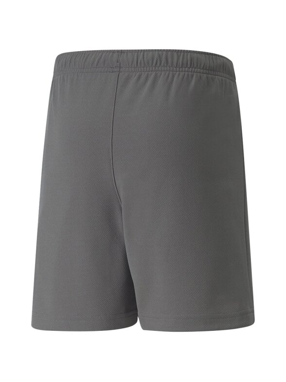 Puma teamRISE Short Jr vaikiški šortai, pilki 704943 13 1